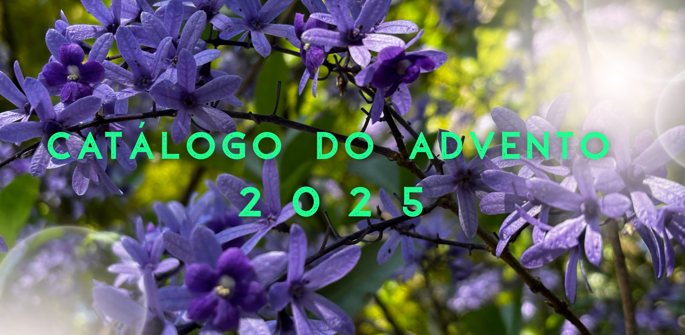 CATÁLOGO ADVENTO 2025